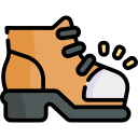 Calzado